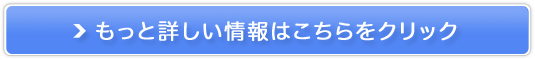 nƂ100NzV܂̈iyVܒʔ.netz̔TCg